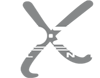 X LINE