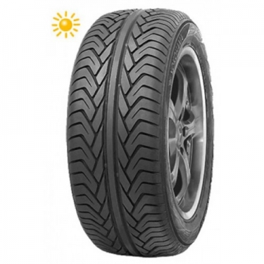 255/55 R19 107Y