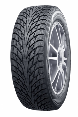 225/45 R17 94R